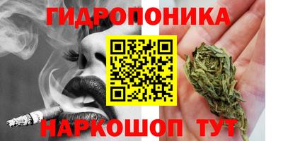 каннабис Кингисепп
