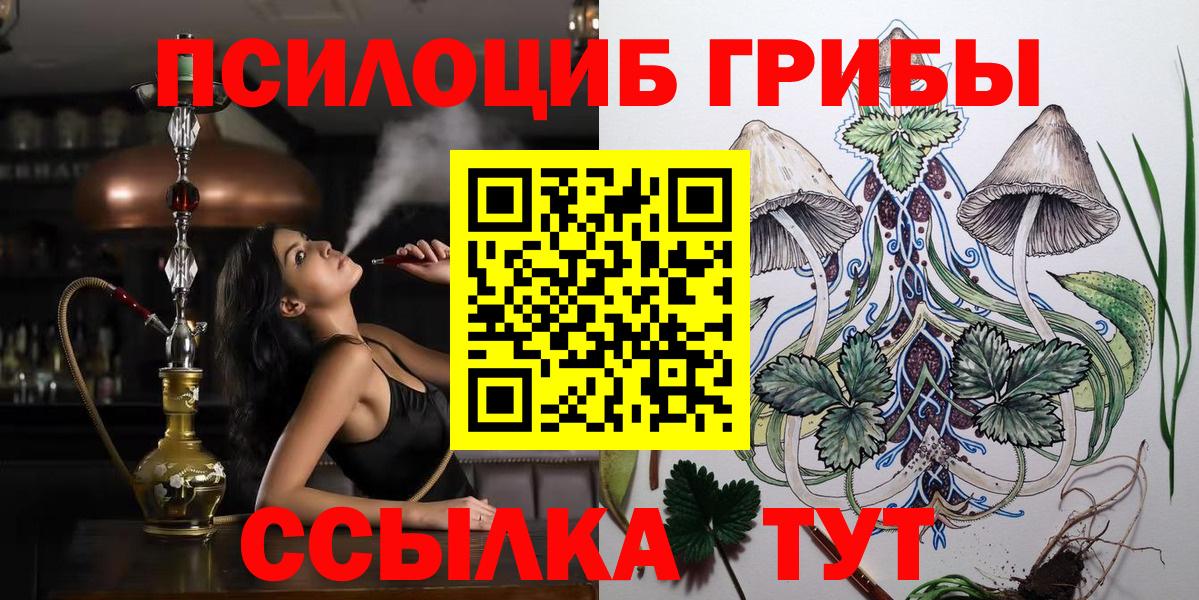 Псилоцибиновые грибы MAGIC MUSHROOMS  Вход с VPN  Каменка 