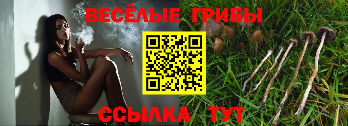 Галлюциногенные грибы прущие грибы Каменка