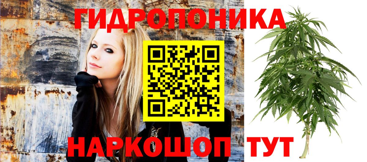 Шишки марихуана ГИДРОПОН Каменка
